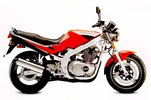 Thumbnail Suzuki GS500 GS500E 1989-1999 Service repair manual  
